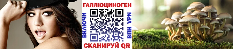 дарк нет состав Приморско-Ахтарск Галлюциногенные грибы MAGIC MUSHROOMS