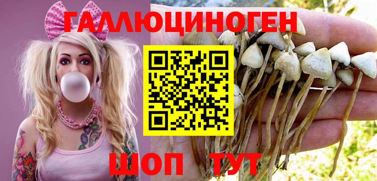 Псилоцибиновые грибы GOLDEN TEACHER  Псилоцибиновые грибы GOLDEN TEACHER  Приморско-Ахтарск  Вход с VPN 