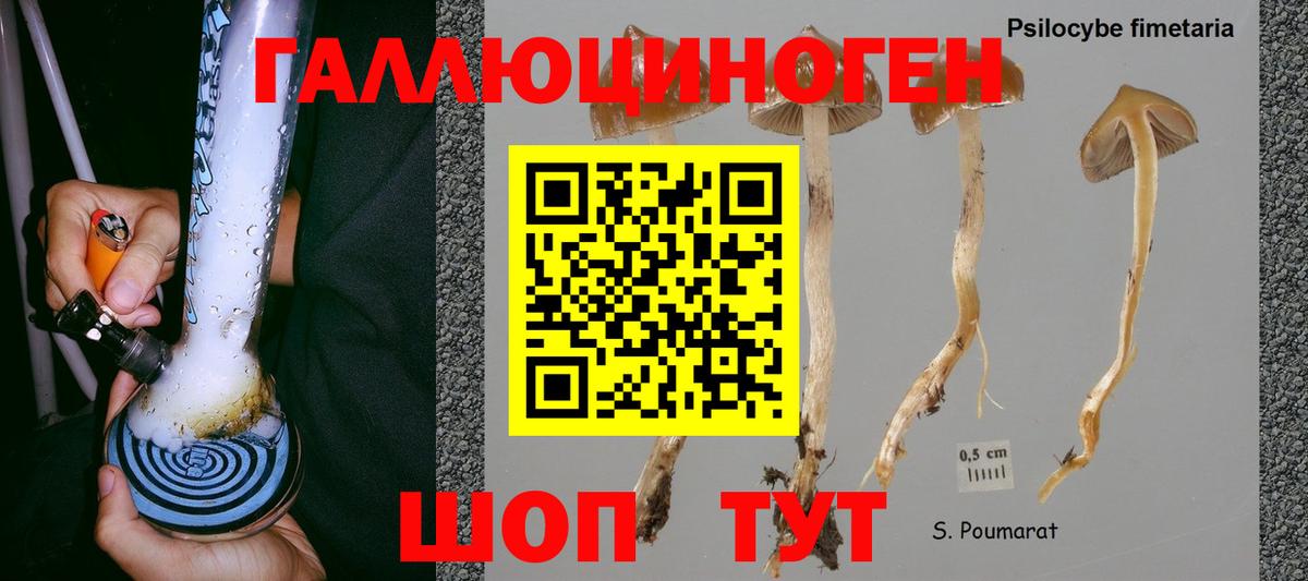 Гашиш  Приморско-Ахтарск  Метамфетамин  COCAIN  Меф кристаллы  Alpha-PVP СК  