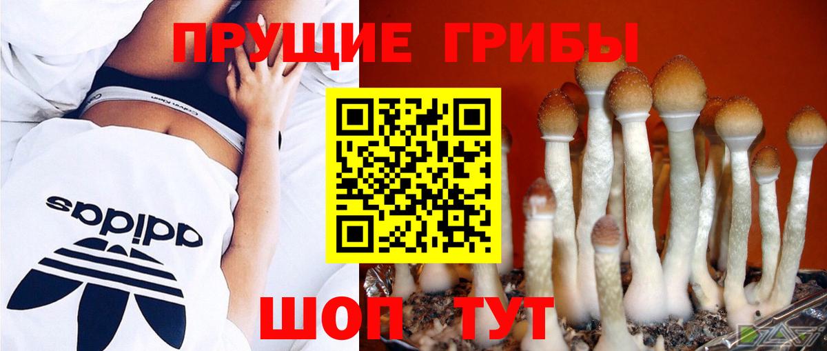 Псилоцибиновые грибы MAGIC MUSHROOMS Приморско-Ахтарск